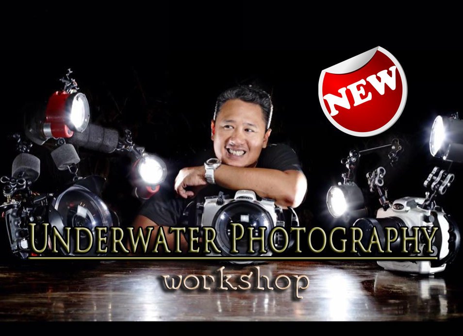 Underwater Photography Workshop
