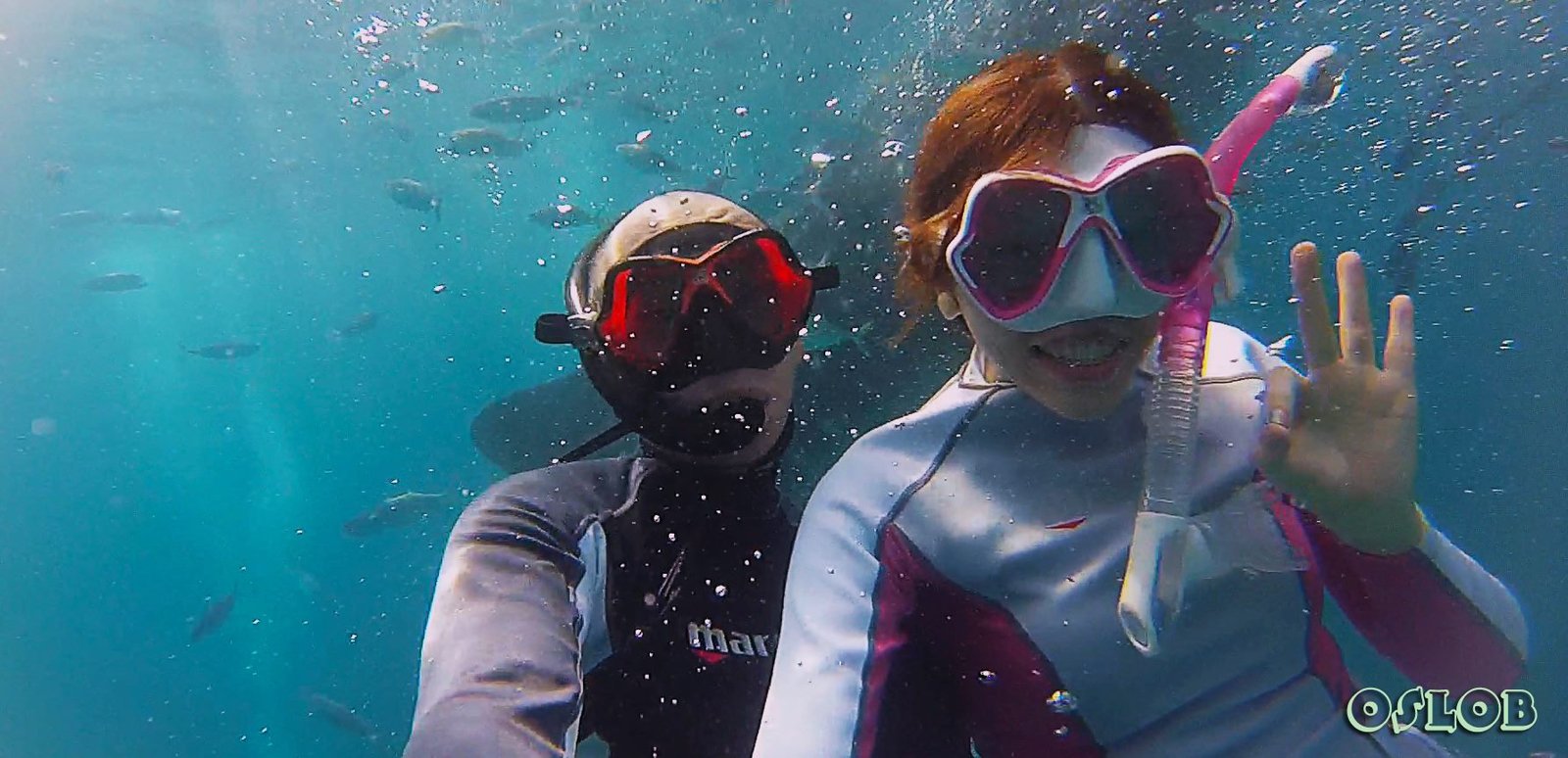 SCUBA Diving